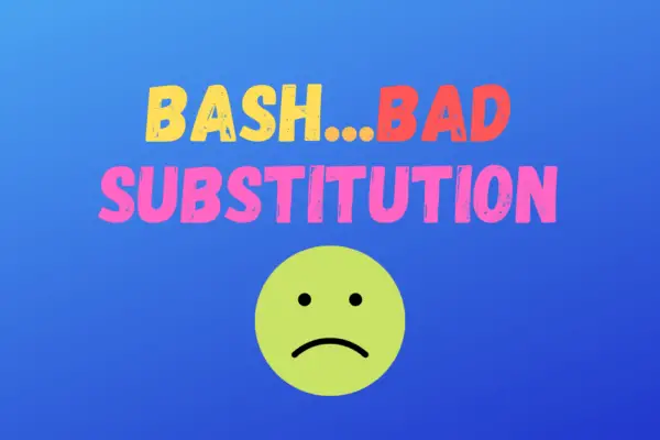 bad assignment bash