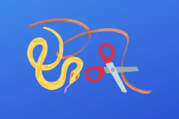 Python rsplit String method